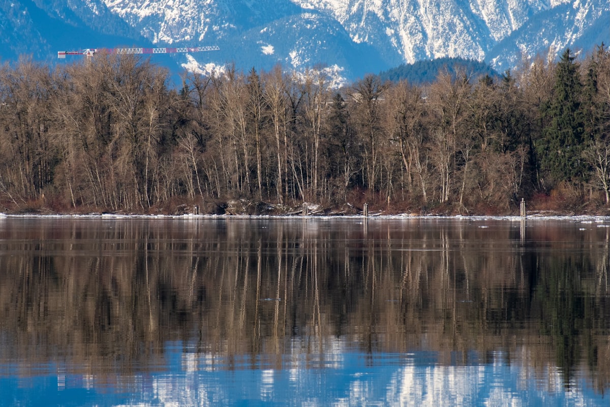 Wedding decor rentals in Langley, BC