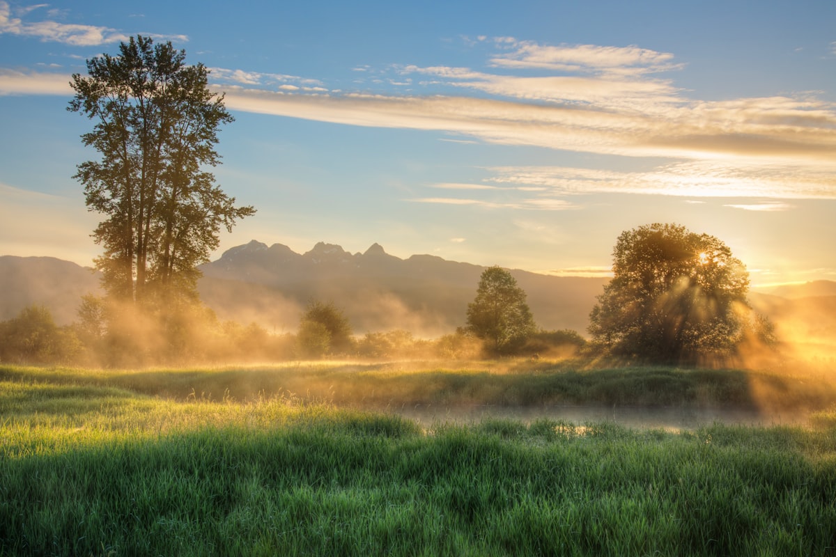 Wedding decor rentals in Maple Ridge, BC