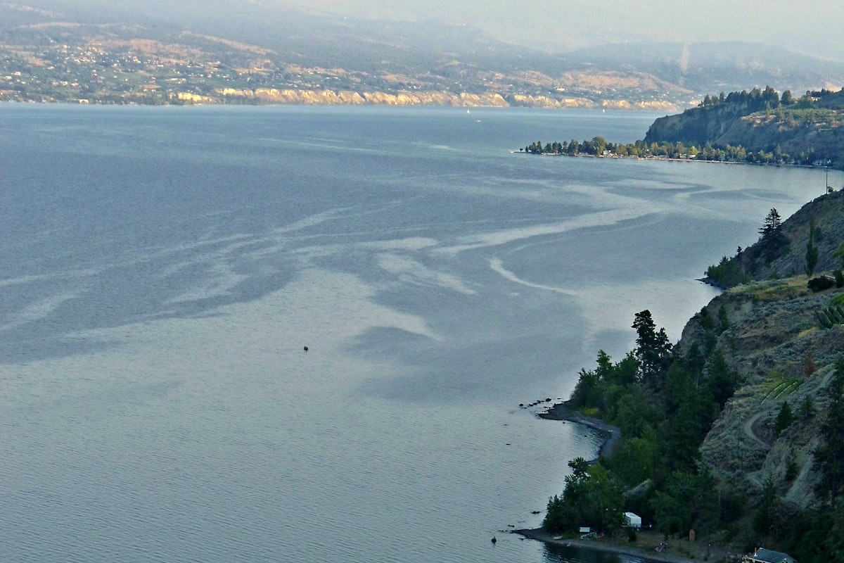 Wedding decor rentals in Penticton, BC